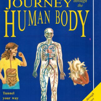 Journey Through The Human Body