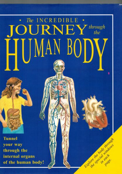 Journey Through The Human Body
